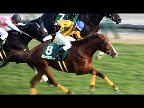 【中日新聞杯2025】シェイクユアハート4度目の挑戦で重賞初勝利‼ ウイニングラン 現地映像