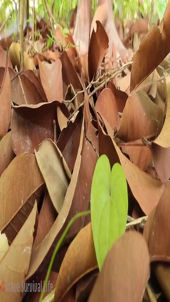 DIY underground pool with slide & underwater temple: Ancient design & cost insights