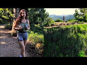 Epic Hike to Little Adam's Peak | Stunning Views in Ella, Sri Lanka 🌄