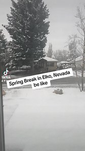 4.9K views · 53 reactions | Happy Easter and Spring break y’all 略 #elkonevada #springbreak | ILL ZakieL | Facebook