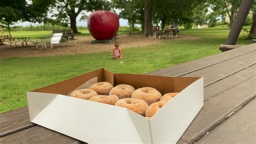 West Michigan’s top 8 cider mills