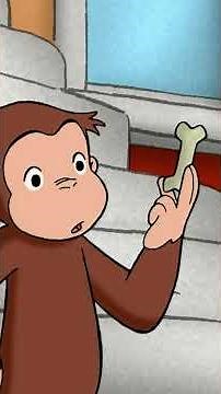 Fehlender Dinosaurierknochen!? #shorts