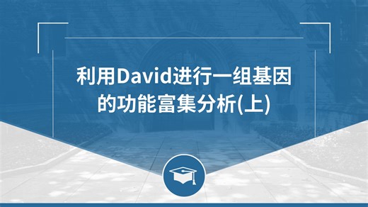 利用David进行一组基因的功能富集分析(上)