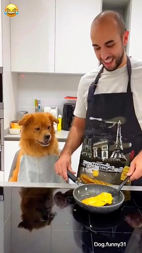 Dog funny#funny 1721552482 #dogsoftiktok #petals #pet #petsagram #petty #pets #petsofinstagram #asmr #dog #usa | Timothy Backler