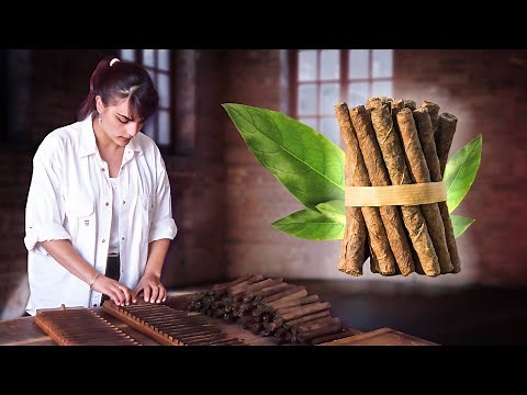PURE artisans. Manual elaboration of TOBACCO (cultivation and drying of the plant) in 1998