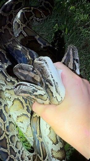 Garrett Galvin | Exploring the Florida Everglades!... | Instagram