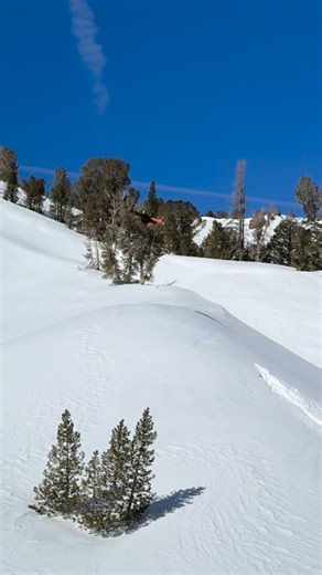 Tanner Hall on Instagram: "The perfect jump. Planet “Ornada” type shit. 🎥 Stonewalker99. Hard to beat California shredding when conditions are like this…….memorable day last winter with the @armadaskis crew. @ruroc_snow @tyroliabindings @everymanjack #skiboss #ornada #inspired"