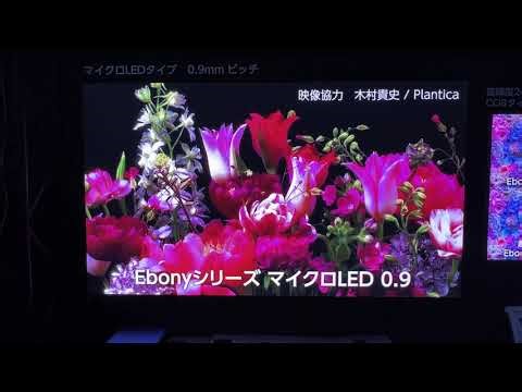 Ebony Microシリーズ 0.9mm 超高精細で美しい映像が楽しめる省エネ設計のLEDビジョン！