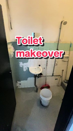 DIY Toilet Makeover Project: Transform Your Space