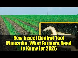 New Insect Control Tool Plinazolin: What Farmers Need to Know for 2026