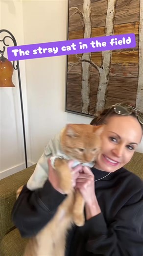 You might’ve been the unfriendly timid cat living in the field, eating mice and rats. But now you’re my cat named Heathcliff, spoiled with the most delicious food treats, and endless love. ##cat##cats##catsoftiktok##barncat##fyp