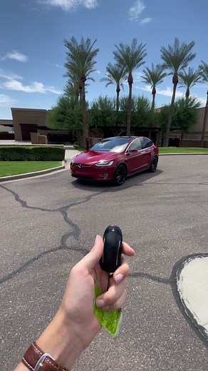 The Golden Tesla on TikTok