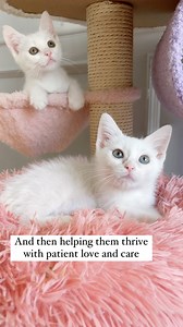 11K views · 524 reactions | Luke and Leia’s glow up. ✨ SO much love...