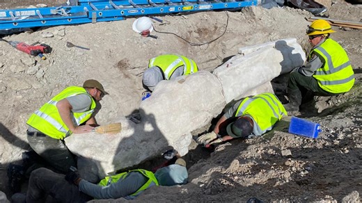 New fossils found at Dinosaur National Monument