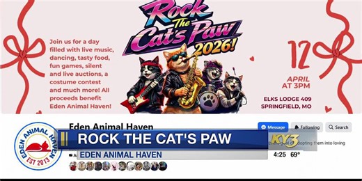 Video: Cat rescue fundraiser