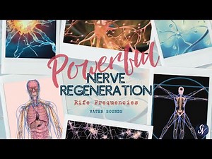 ❉ Nerve Regeneration ~ Powerful Rife Frequencies ~ Relaxing Water Sounds