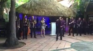 53 reactions | Así fue el recibimiento para los empresarios de San Luis Potosí a Sinaloa, en su primer día de Convenciones en #ElFuerte, con la Banda 100% Sinaloense y completamente En Vivo de #GuasaveMusical. Un gran evento el día de ayer.. ¡Gracias por preferirnos! #SegurosElPotosí | Grupo Guasave Musical | Facebook