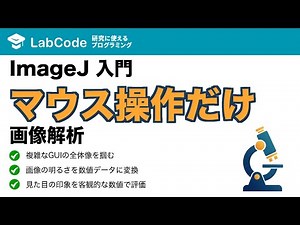 【画像解析入門 #3】ImageJ/Fiji入門！マウス操作だけでできる画像解析の基本