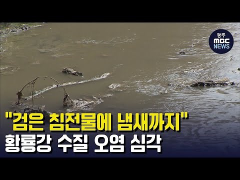 "검은 침전물에 냄새까지"...황룡강 수질 오염 심각 (뉴스데스크 2023.3.22 광주MBC)