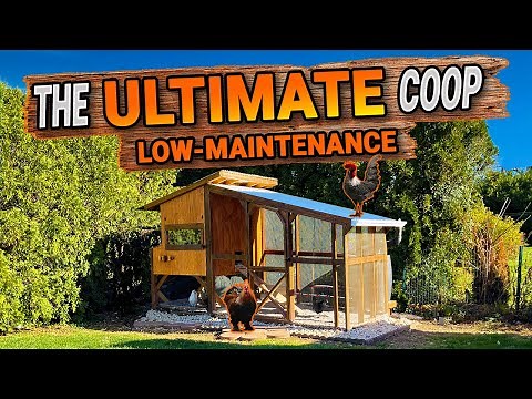 EASY Low-Maintenance CHICKEN COOP | DIY | TIMELAPSE