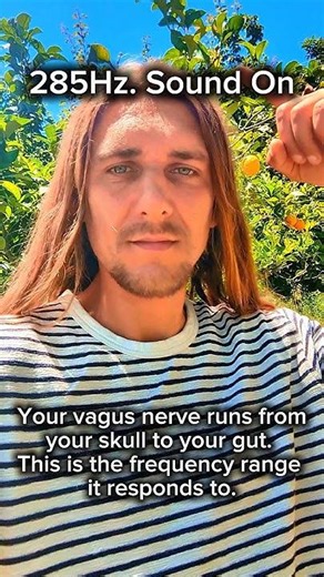 285Hz + 7.83Hz | YOUR VAGUS NERVE RUNS FROM SKULL TO GUT | Golden Resonance Method