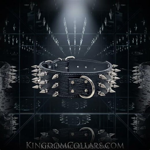 2.5" Black Croc Spiked Dog Collar | 3 Rows Silver Tree Spikes | Kingdom Collars