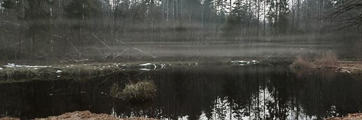 What Is Wetland Delineation? 15 Things (2026) You Should Know