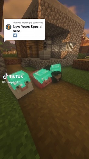 New Year Special of Maxwell the Carryable Cat in Minecraft