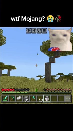 Instant Realisation 😭🥀 #minecraft