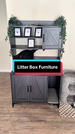 Hidden Litter Box Furniture for Cats