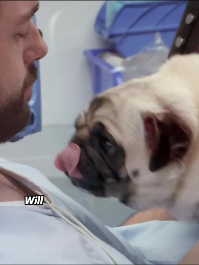 #untoldstoriesoftheer #truemedicalcases #hospitalstories #erdrama #hospital