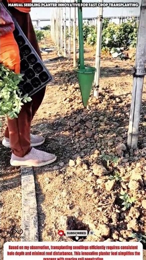 Manual Seedling Planter Innovative For Fast Crop Transplanting