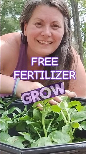 🌿 Quick How to Make Compost Tea for FREE FERTILIZER Make Your Garden Flourish 🌿