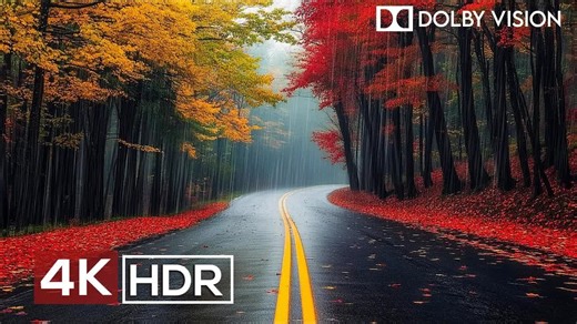 最佳oled超清测试5 4KHDR I屏幕测试，极致画质|杜比视界|电视屏幕测试|手机屏幕测试