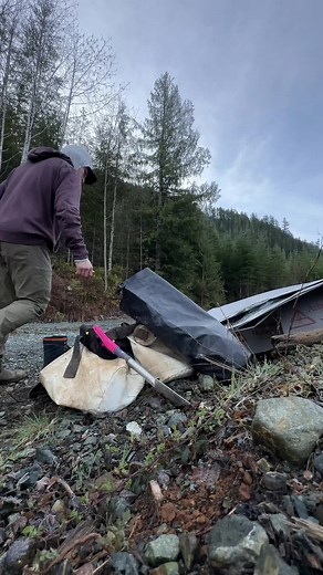 Tree Planting FAQ: Addressing Clear-Cutting Concerns