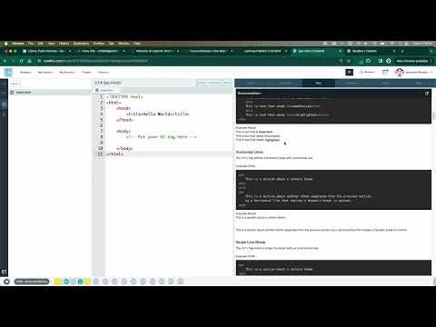 LV Web Canvas and CodeHS Walkthrough