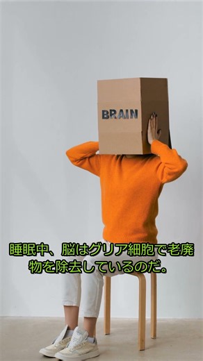 【衝撃】睡眠不足で脳が溶ける！？科学が暴く「限界日数」