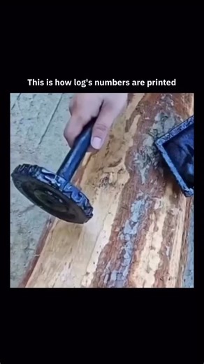 Experiencing Matrix on Instagram: "This is how long numbers are printed - and the process is way more precise than it looks! Inside these machines, rotating number wheels or digital print heads move at incredible speed, stamping each digit perfectly in place. Whether it’s serial codes, tracking IDs, product labels, or industrial markings, the system must print long sequences without a single mistake. Even the tiniest misalignment could ruin an entire batch. The machine reads each number, positio