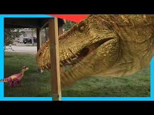 🦕 Baby Dinosaurs Hatching! Triceratops & T-Rex Adventure | Dino Kids | Dinosaur Shows for Kids