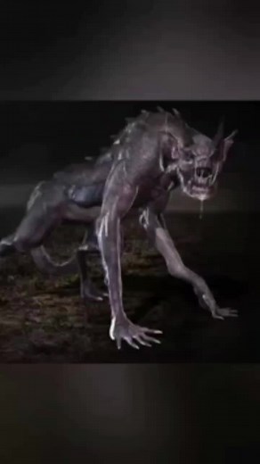 Сіфон-пісяк на TikTok