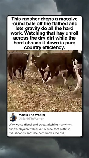 Genius Way To Unroll A Hay Bale