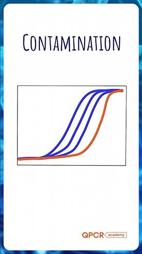No-Template Control (NTC) in qPCR — Why It Matters #molecularbiology #phdlife #troubleshooting