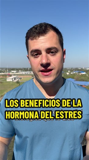 Respuesta matutina de cortisol: activa tu energía en 30–45 minutos