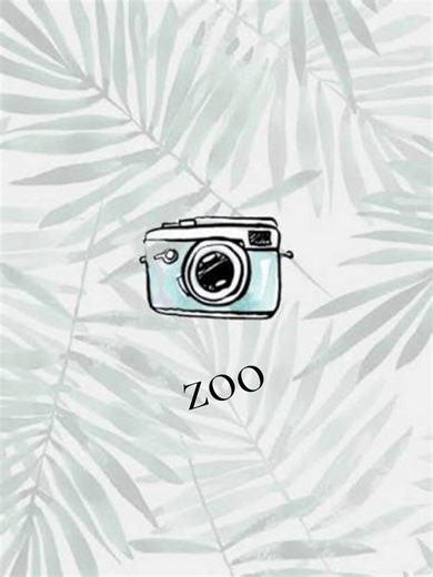 BiniBambini on TikTok