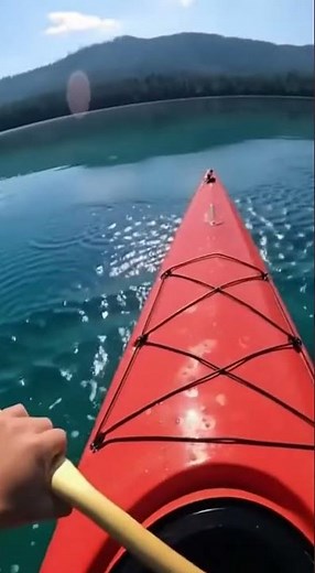 GIANT KOI FISH ATTACKS KAYAKER!