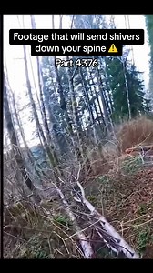 729K views · 7.8K reactions | hexxedman - #fyp #horror #creepy #scary thsi will keep you awake at night #fyp #creepypasta #horrorfan #halloween #photography #haunted #horrormovies #creepy #scary #paranormal #horror #dark #goth #creepyart #viral #spooky | Creepy stories | Facebook