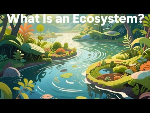 What Is an Ecosystem? | The Hidden Networks That Keep Earth Alive