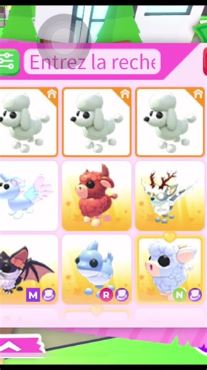 Adopt Your Dream Pet Today!