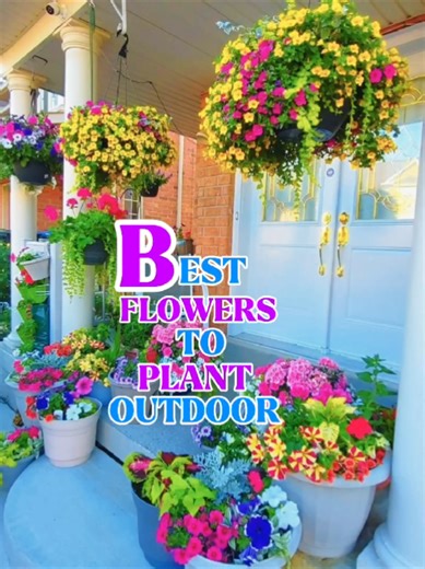 Top 10 Outdoor Flowers for Your Garden