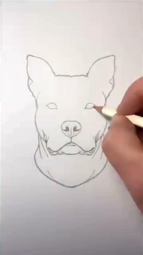 Realistic Dog Face Drawing Easy | Dog Sketch Step by Step #dogdrawing #animaldrawing #easydrawing